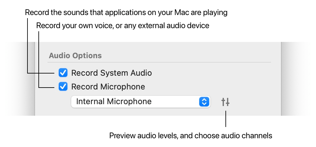 The audio options in the Record view