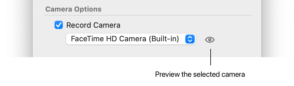 The camera options in the Record view