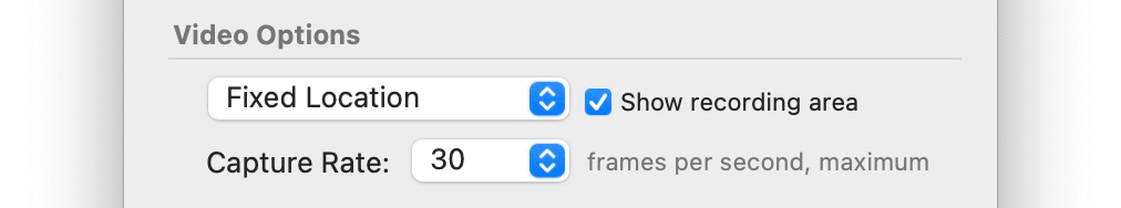 The video options in the Record view