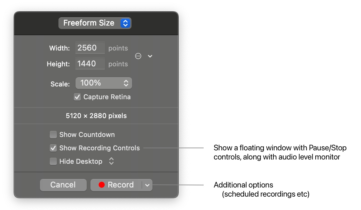 Show Recording Controls during area selection